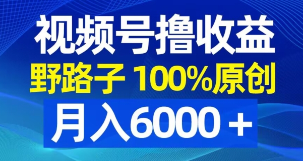 视频号野路子撸收益，100%原创，条条爆款，月入6000＋【揭秘】-小牛学府