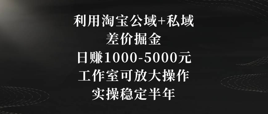 利用淘宝公域+私域差价掘金，日赚1000-5000元，工作室可放大操作，实操稳定半年【揭秘】-小牛学府