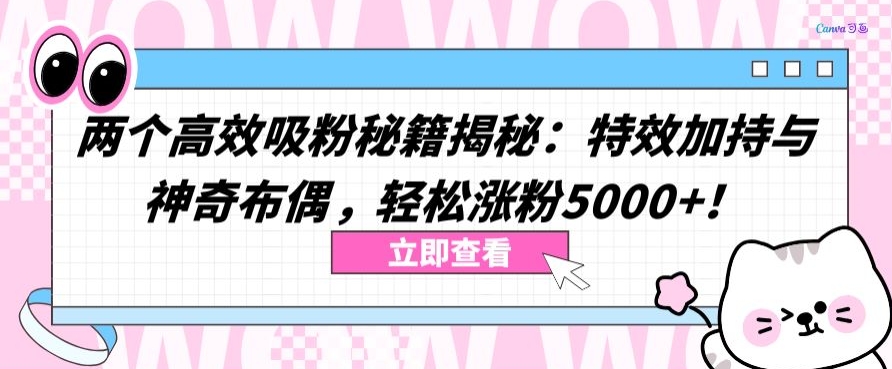 两个高效吸粉秘籍揭秘:特效加持与神奇布偶,轻松涨粉5000+【揭秘】-小牛学府