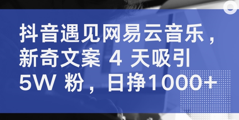 抖音遇见网易云音乐,新奇文案 4 天吸引 5W 粉,日挣1000+【揭秘】-小牛学府