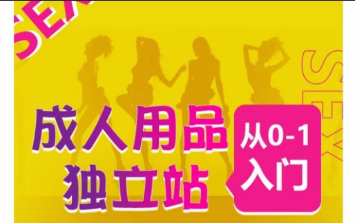 成人用品独立站从0-1入门,成品独立站运营全流程教学,七大好卖成品独立站推荐-小牛学府