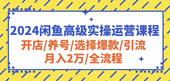 2024闲鱼高级实操运营课程:开店/养号/选择爆款/引流/月入2万/全流程-小牛学府