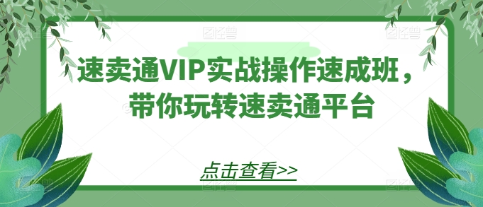 速卖通VIP实战操作速成班，带你玩转速卖通平台-小牛学府