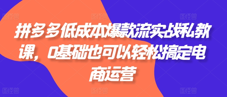 拼多多低成本爆款流实战私教课,0基础也可以轻松搞定电商运营-小牛学府