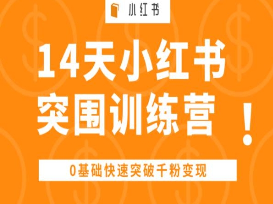 14天小红书突围训练营 ,0基础快速突破千粉变现-小牛学府