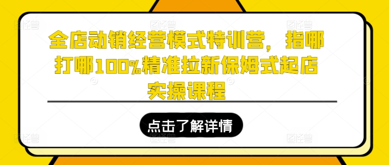 全店动销经营模式特训营，指哪打哪100%精准拉新保姆式起店实操课程-小牛学府