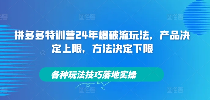 拼多多特训营24年爆破流玩法,产品决定上限,方法决定下限,各种玩法技巧落地实操-小牛学府