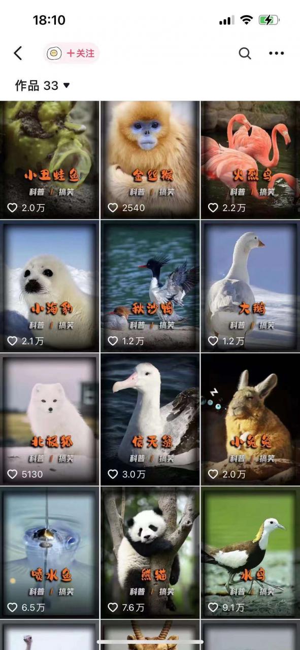 动物科普解说项目，撸创作者伙伴计划收益，保姆级实战教程-小牛学府