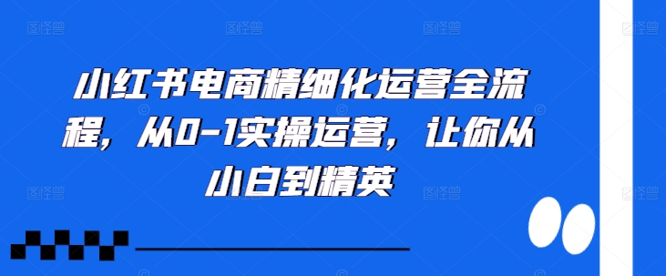 小红书电商精细化运营全流程,从0-1实操运营,让你从小白到精英-小牛学府