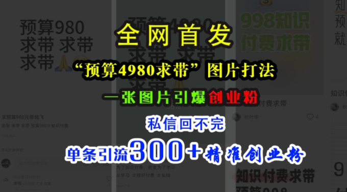 小红书“预算4980带我飞”图片打法,一张图片引爆创业粉,私信回不完,单条引流300+精准创业粉-小牛学府