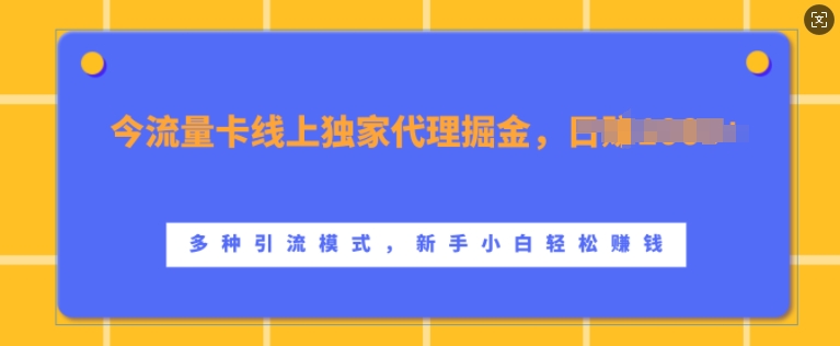 流量卡线上独家代理掘金，日入1k+ ，多种引流模式，新手小白轻松上手【揭秘】-小牛学府