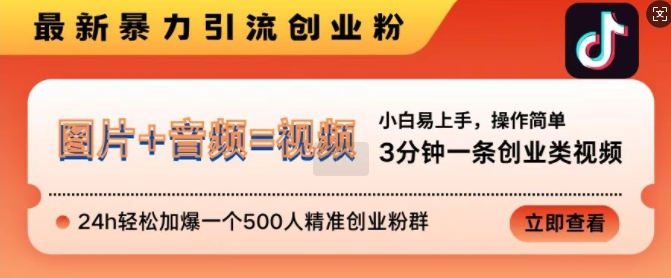 抖音最新暴力引流创业粉,3分钟一条创业类视频,24h轻松加爆一个500人精准创业粉群【揭秘】-小牛学府