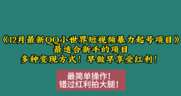12月最新QQ小世界短视频暴力起号项目,最适合新手的项目,多种变现方式-小牛学府