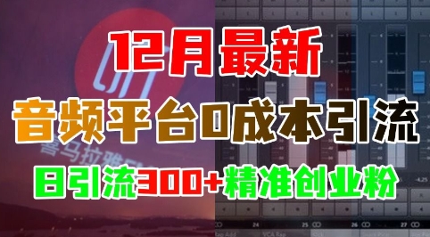 12月最新:音频平台0成本引流,日引流300+精准创业粉-小牛学府