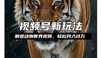 利用动物世界解说视频，赚分成计划收益，轻松月入过W，操作简单【揭秘】-小牛学府