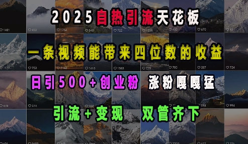 2025自热引流天花板,一条视频能带来四位数的收益,引流+变现双管齐下,日引500+创业粉,涨粉嘎嘎猛-小牛学府