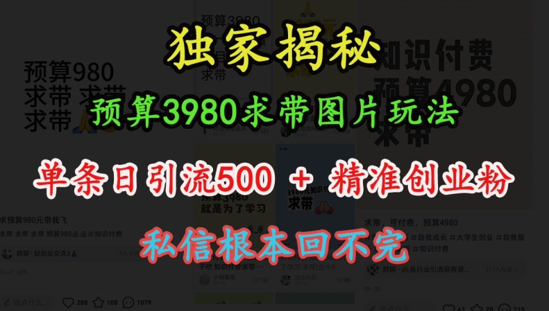 预算3980求带 图片玩法,单条日引流500+精准创业粉,私信根本回不完-小牛学府