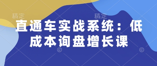直通车实战系统:低成本询盘增长课,让个人通过技能实现升职加薪,让企业低成本获客,订单源源不断-小牛学府