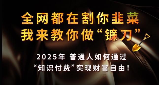 全网都在割你韭菜,我来教你做镰刀,2025年普通人如何通过 知识付费 实现财F自由【揭秘】-小牛学府