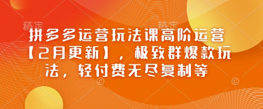 拼多多运营玩法课高阶运营【2月更新】,极致群爆款玩法,轻付费无尽复制等-小牛学府