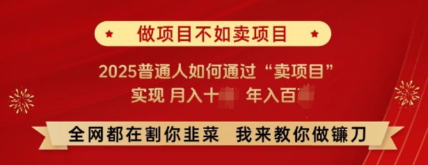 必看,做项目不如卖项目,2025普通人如何通过“卖项目”实现月入十个,年入百个-小牛学府