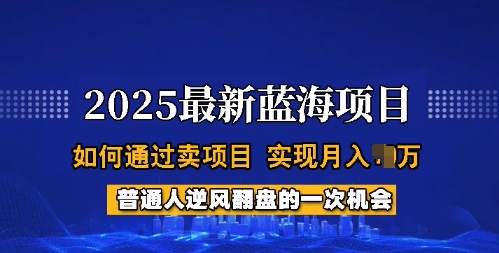 2025蓝海项目,普通人如何通过卖项目,实现月入过W,全过程【揭秘】-小牛学府