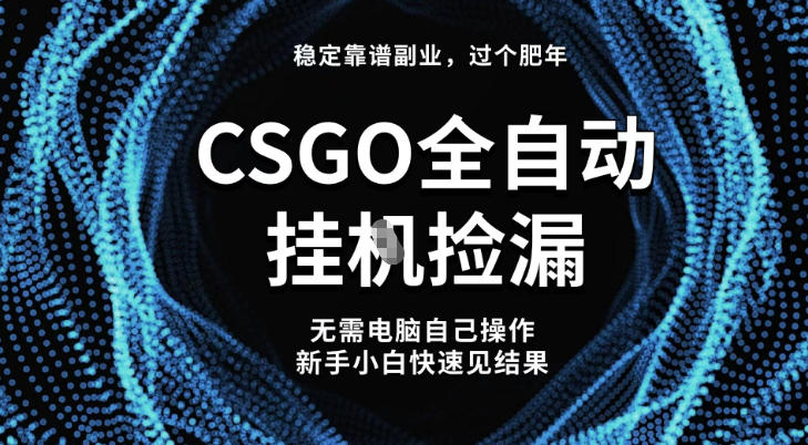 【稳定副业】全球最热门游戏CSGO全自动捡漏，最新玩法，新手小白日入5张+【揭秘】-小牛学府