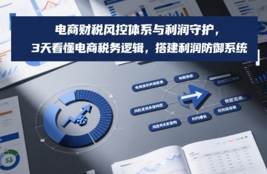 电商财税风控体系与利润守护，3天看懂电商税务逻辑，搭建利润防御系统-小牛学府