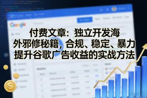 付费文章：独立开发海外邪修秘籍，合规、稳定、暴力提升谷歌广告收益的实战方法-小牛学府