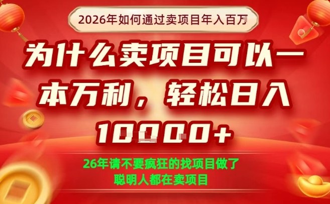 一单净利润1K+，26年想年入100个W，死磕卖项目就够了【揭秘】-小牛学府