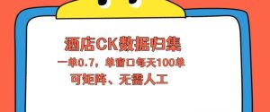 上班也能玩的酒店CK数据归集，一单0.7单窗口每天可做100单，一个人就能矩阵操作【揭秘】-小牛学府