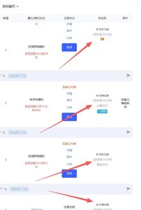 【超强副业】淘宝超高价女装项目：1单賺1k+，可工作室放大（共52节）-小牛学府