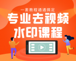 专业去视频水印教程 静态水印、动态水印、文字水印、图片水印一套教程通通搞定-小牛学府