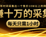 年赚十万的采集站，每天却只需要1小时，一年时间采集出一个售价10W以上的网站-小牛学府