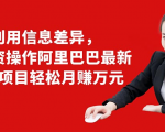 利用信息差异，零投资操作阿里巴巴最新管道项目轻松月赚10000+-小牛学府