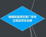 臻曦联盟抖音高权重广场号无人直播正规品带货全解-小牛学府