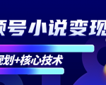 柚子微信视频号小说变现项目,全新玩法零基础也能月入10000+【核心技术】-小牛学府