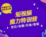 零基础小白进阶到大神《短视频魔力特训营》定位-运营-引流-变现-小牛学府