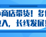 微信小商店带货，爆单多倍收入，长期复利循环！日赚300-800元不等-小牛学府
