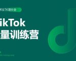 2020最新TikTok流量增长训练营(完结)附PPT-小牛学府