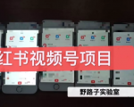 野路子小红书视频号1.0项目，直接上手操作就能赚钱的视频号项目-小牛学府