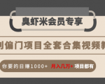 暴利偏门项目全套合集视频教程:你要的日赚1000+月入几万+项目都有-小牛学府