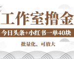 工作室撸金二件套:撸今日头条原创收益+小红书一单利润40块项目-小牛学府