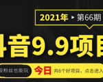 抖音9.9课程项目，没粉丝也能卖课，一天300+粉易变现-小牛学府