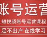 短视频账号运营课程：从话术到短视频运营再到直播带货全流程，新人快速入门-小牛学府