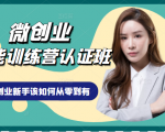 微创业全能训练营认证班课程,从理论知识与实际案例手把手指导创业新手如何从零到有-小牛学府