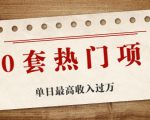30套热门项目:单日最高收入过万 (网赚项目、朋友圈、涨粉套路、抖音、快手)等-小牛学府