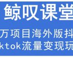 鲸叹号·海外TIKTOK训练营，百万项目海外版抖音tiktok流量变现玩法-小牛学府