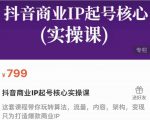 抖音商业IP起号核心实操课,带你玩转算法,流量,内容,架构,变现-小牛学府