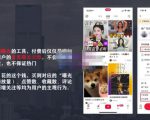 麦子互娱短视频带货·0基础做好物分享账号，无需出镜无需货源无需拍摄-小牛学府